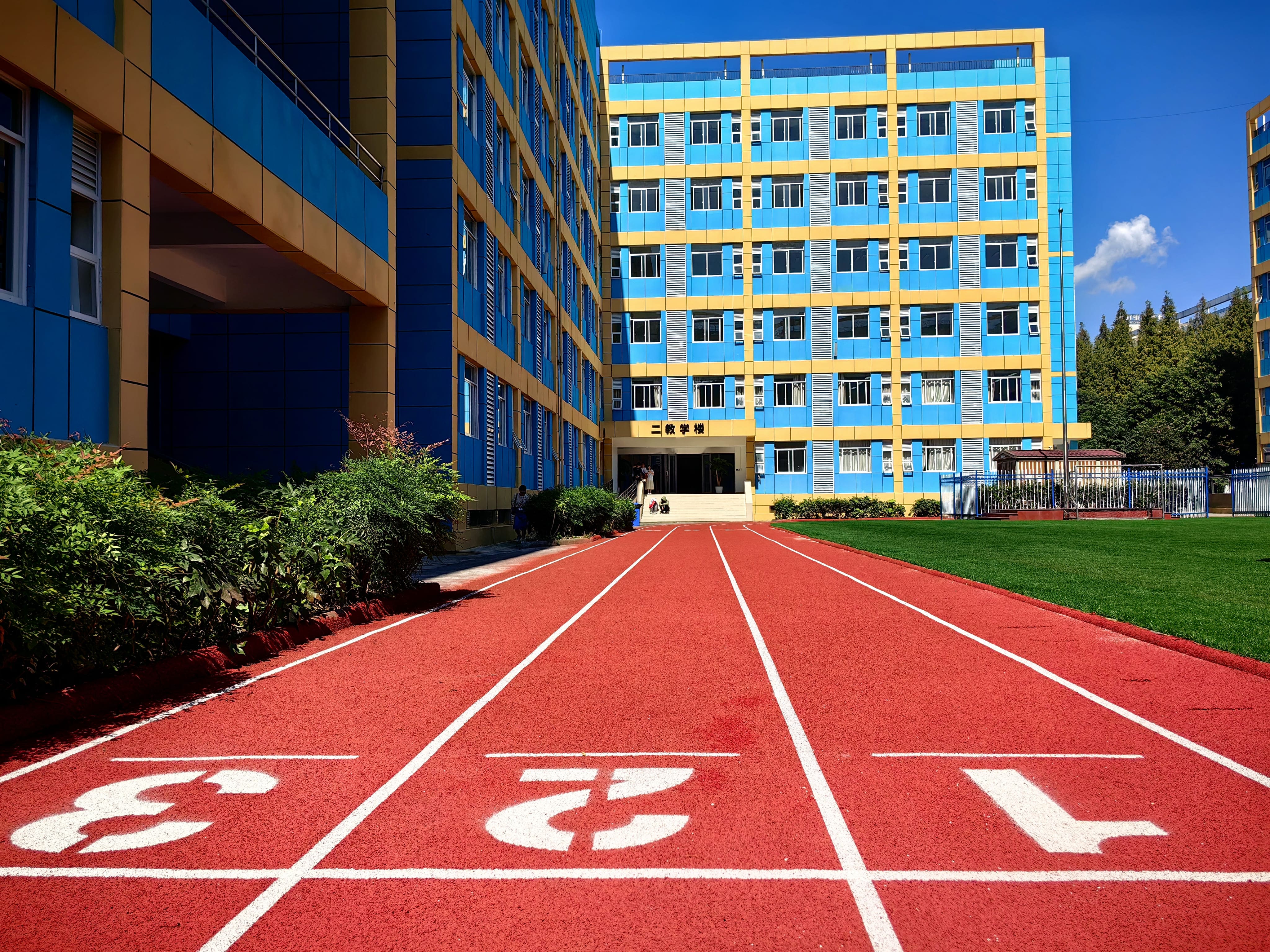 成都新学高考：艺体生文化课冲刺的“精准导航”