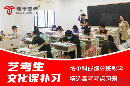 成都新学高考：艺考生文化课突围的“硬核”解法