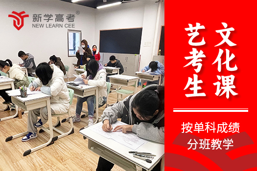 成都新学高考艺考文化课招生启动：为艺术梦想筑牢文化基石