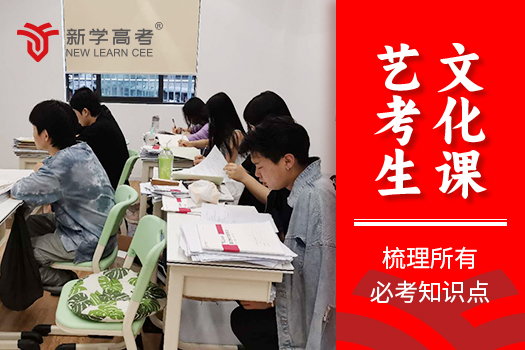 成都艺体生文化课辅导新热点：专业机构助你圆梦